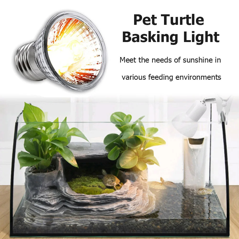Reptile /Amphibian Heating Lamp