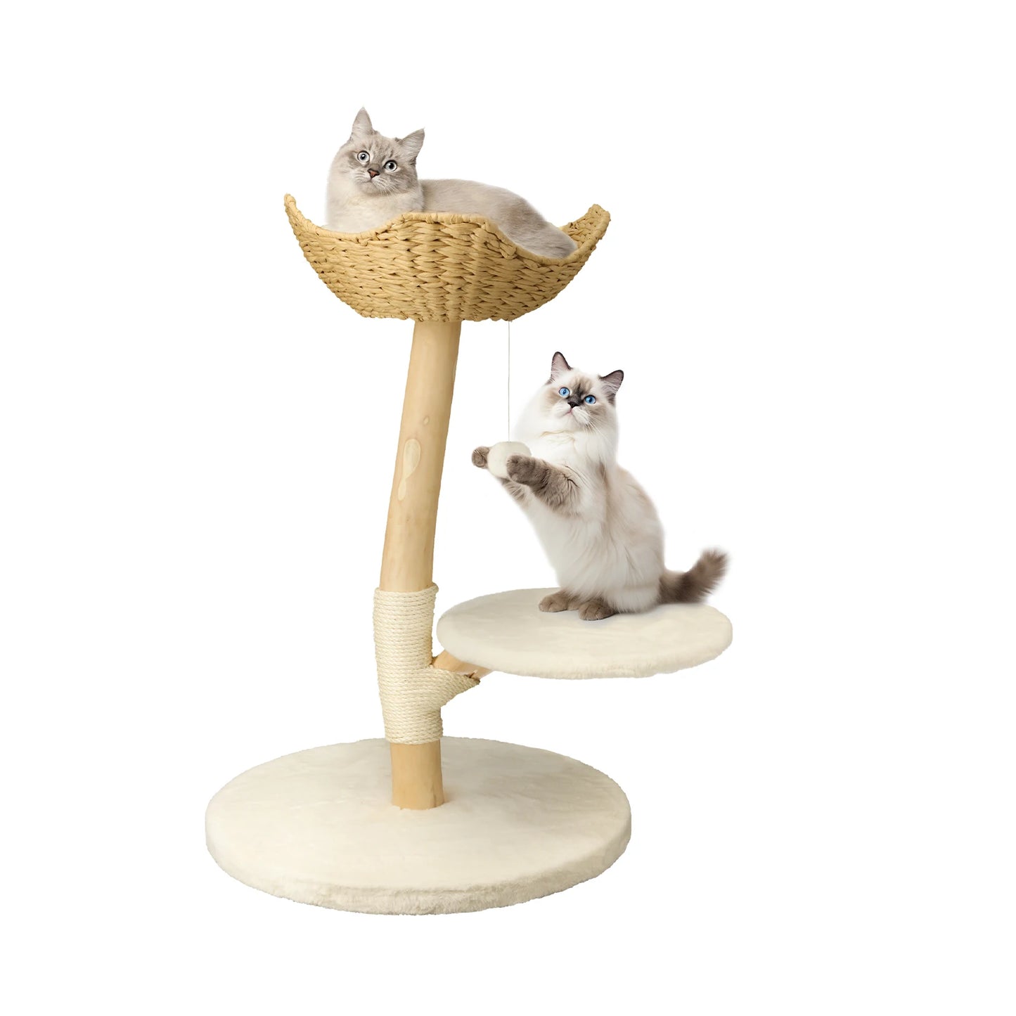 Cat Tower With Scratching Posts