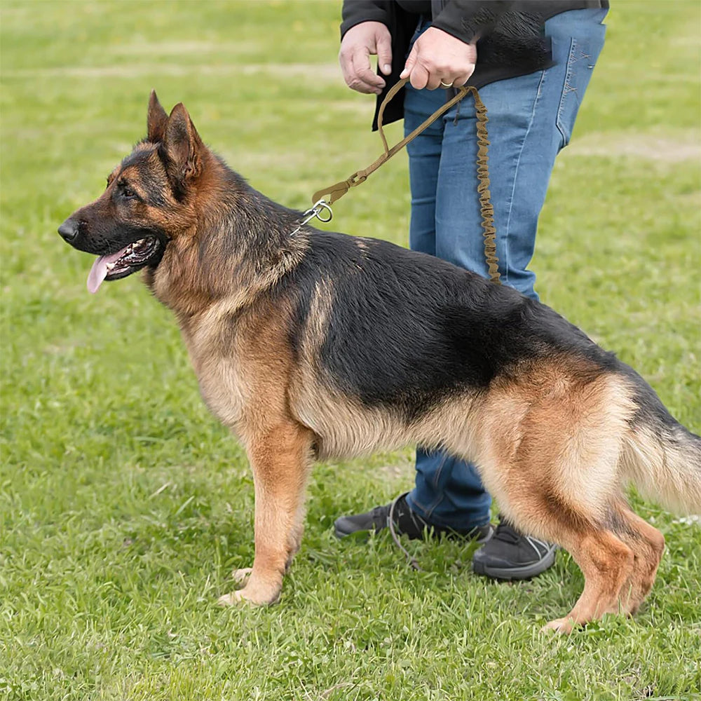 Adjustable Leash, Quick Release With 2 Handles