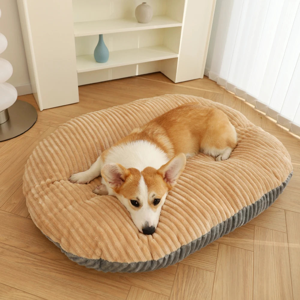 Cushioned Dog/ Cat Bed
