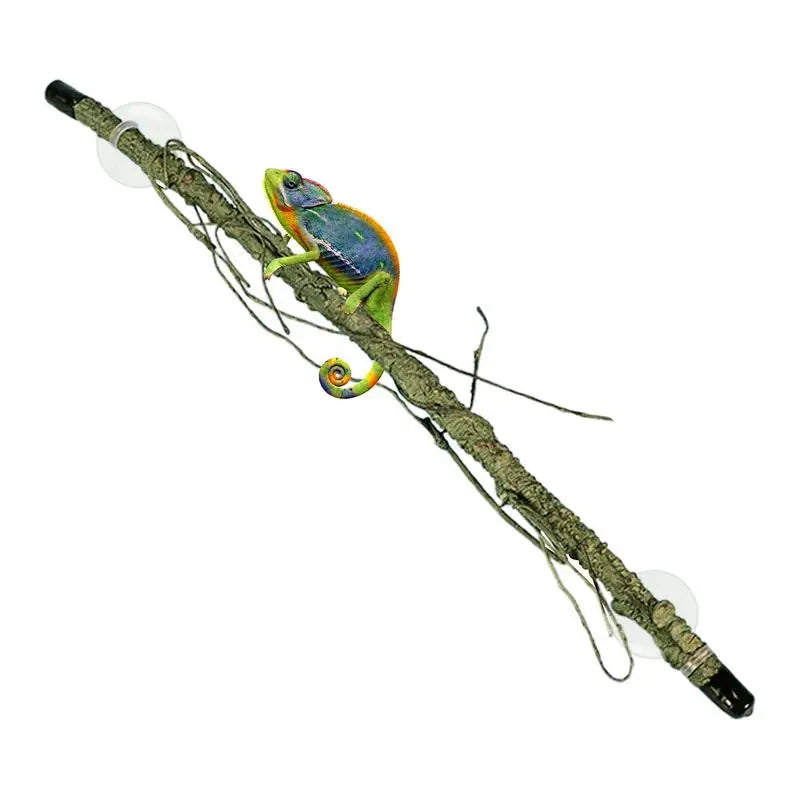 Climbing Branch For Terrarium, With Suction Cup