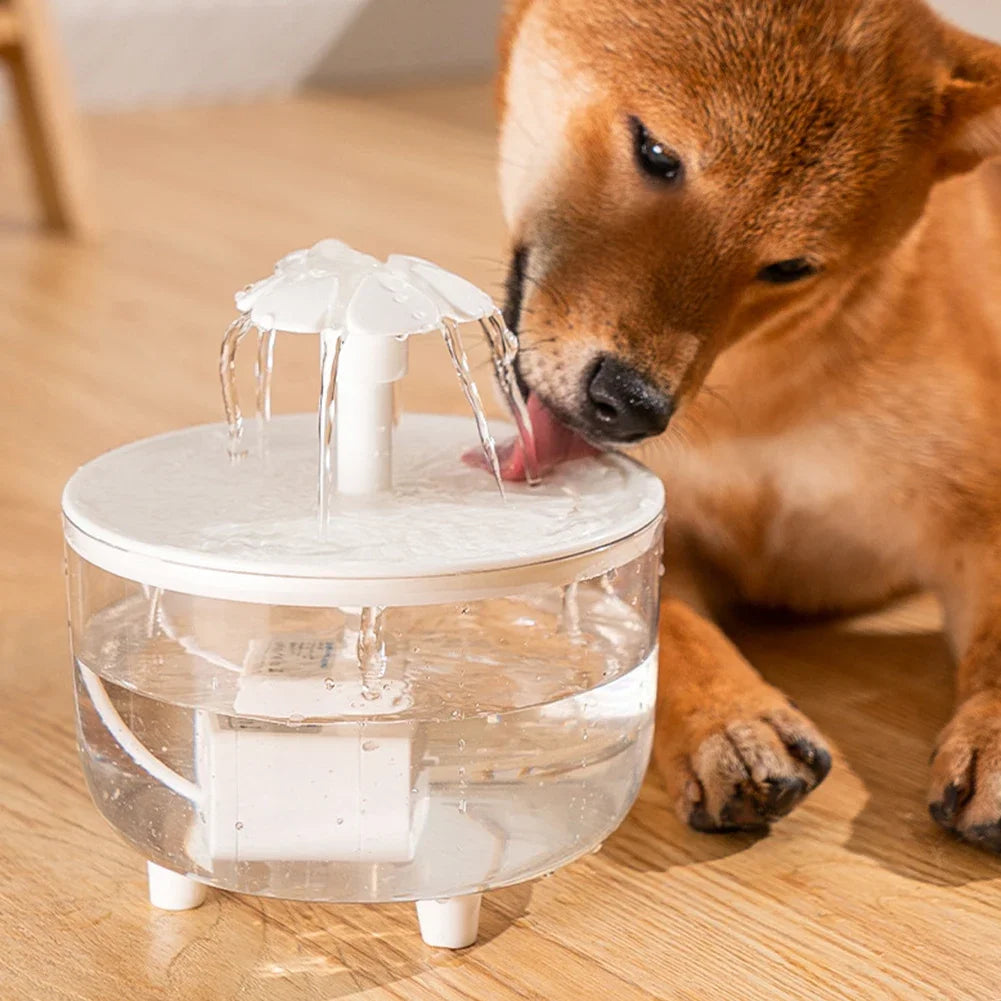 Automatic Pet Water Fountain Dispenser
