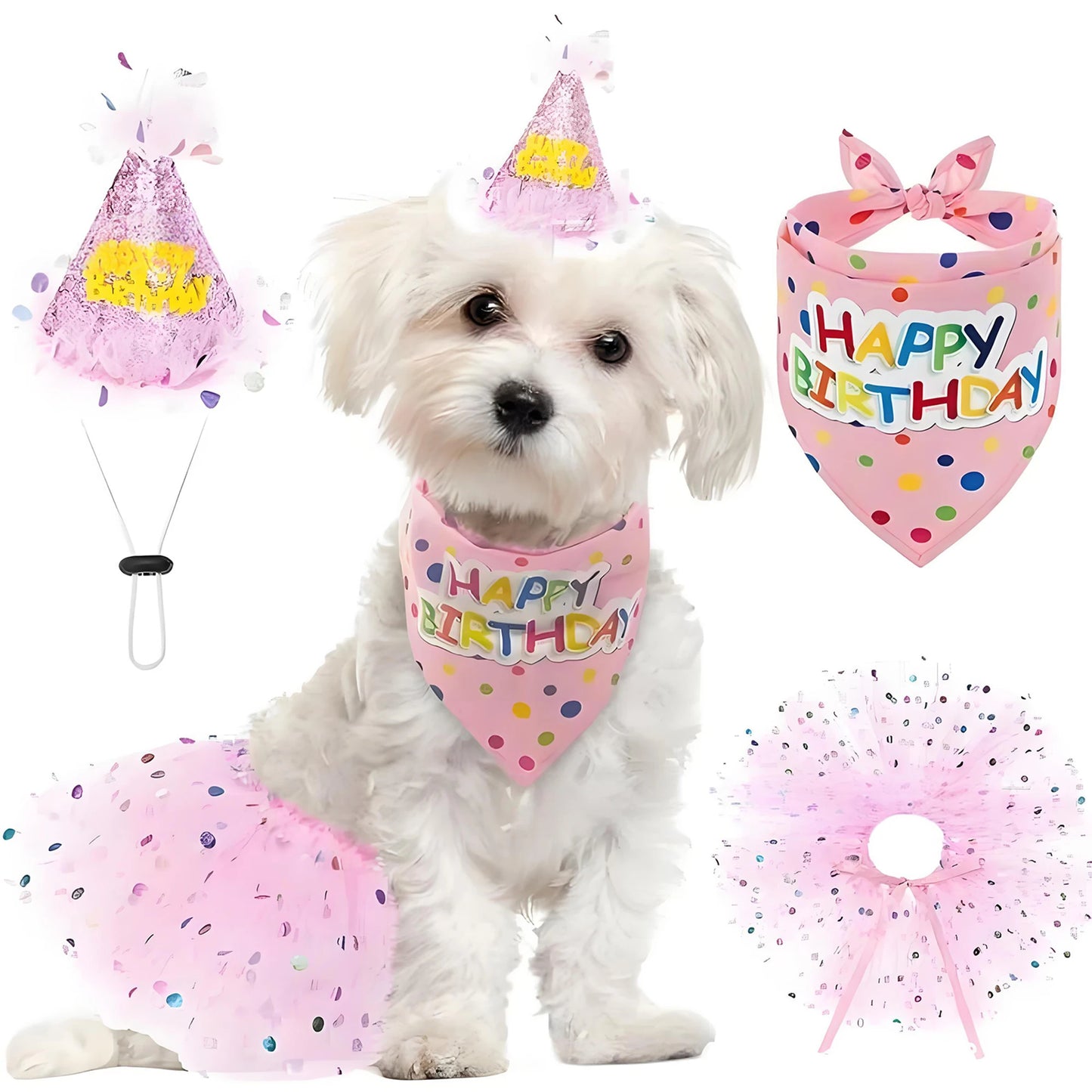 Pet Birthday Costume Set