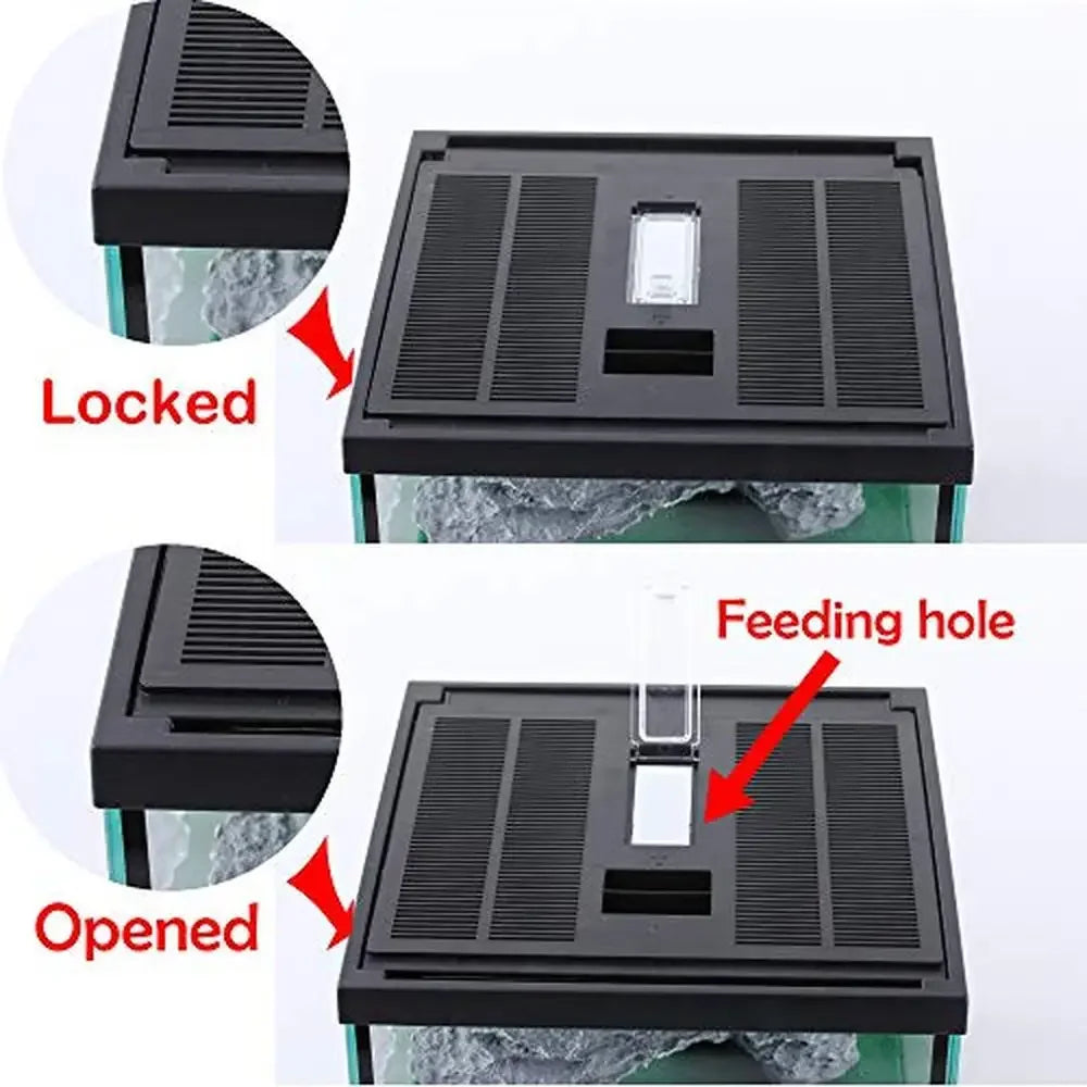 Reptile Glass Terrarium Enclosure