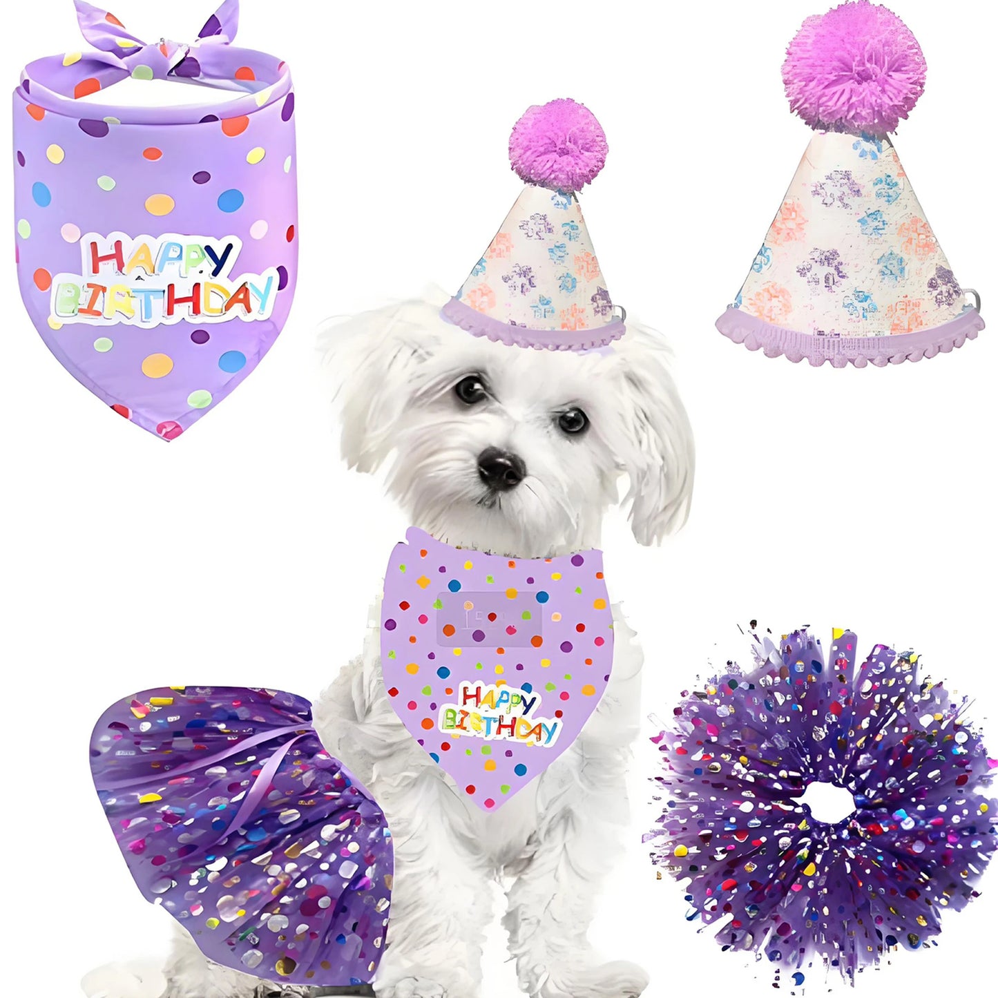 Pet Birthday Costume Set