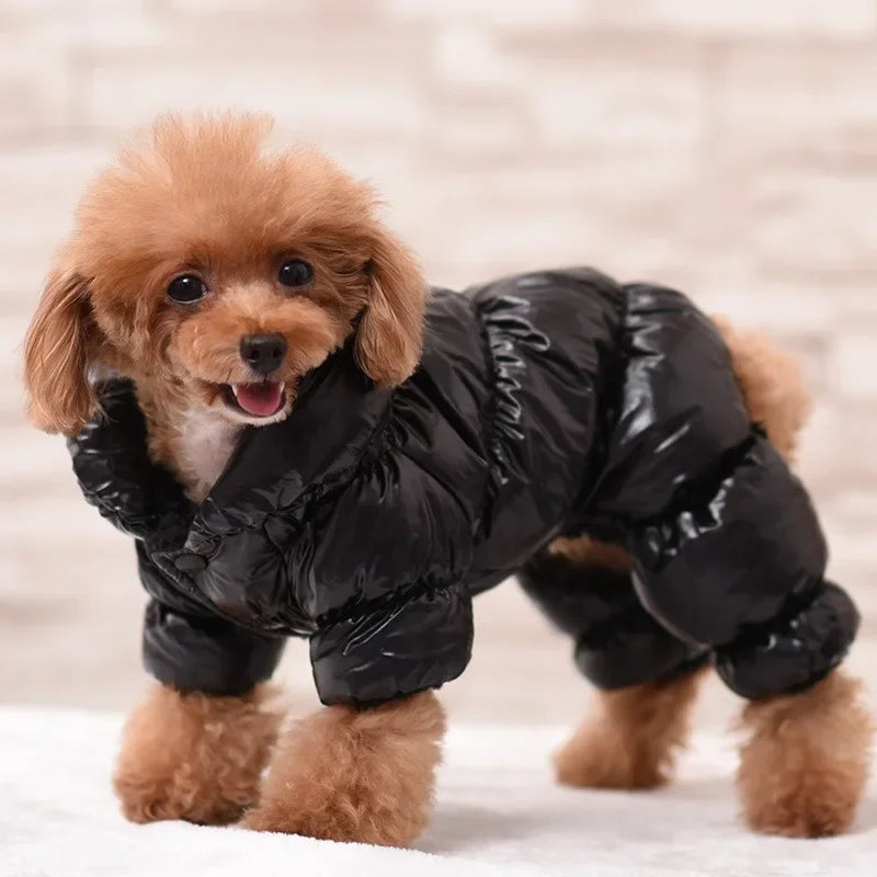 Dog Cat Faux Leather Waterproof Jacket Thicken