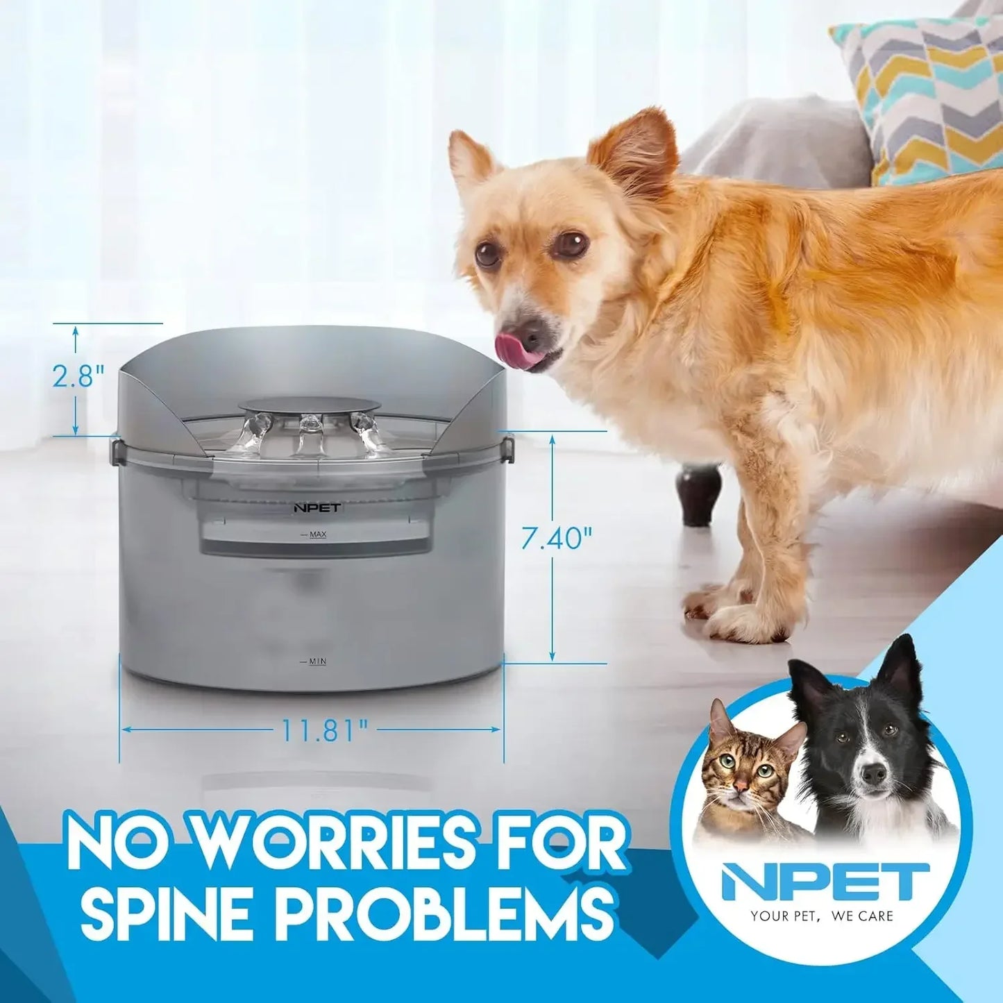 Dog Water Fountain With Splatter Guard