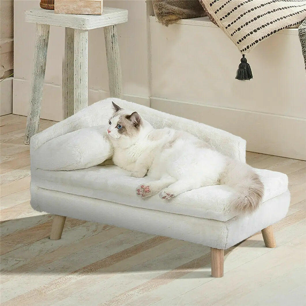 Raised Plush Indoor Cat/Dog Sofa