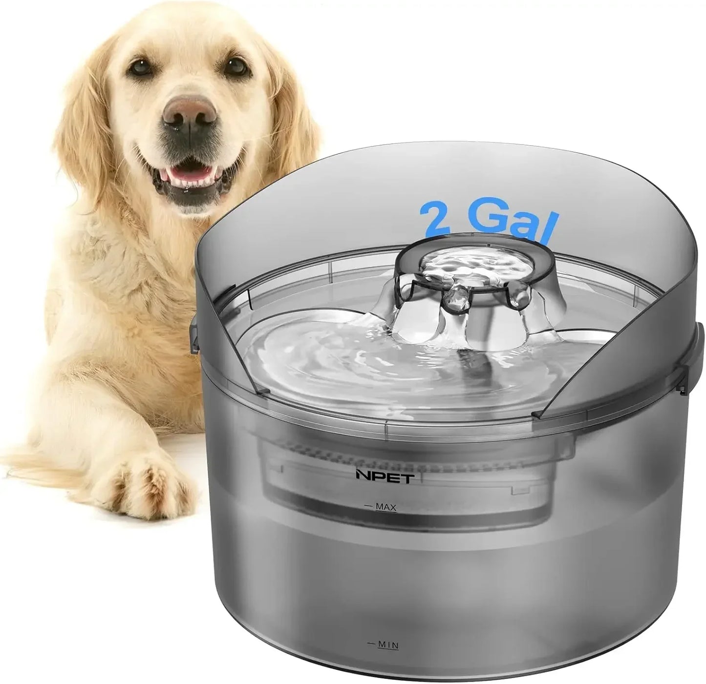 Dog Water Fountain With Splatter Guard