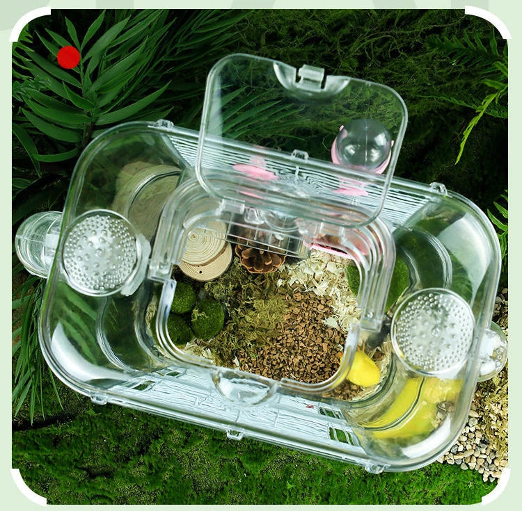 Mice/ Hamster Home Habitat