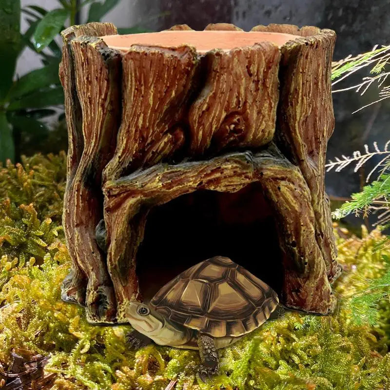 Reptile Cave, Feeding Habitat, Shelter