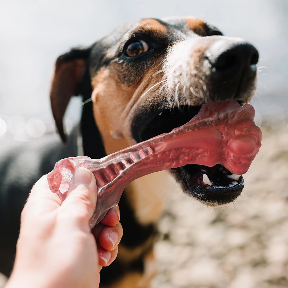 Large Dog Bone-Shaped Indestructible Toy