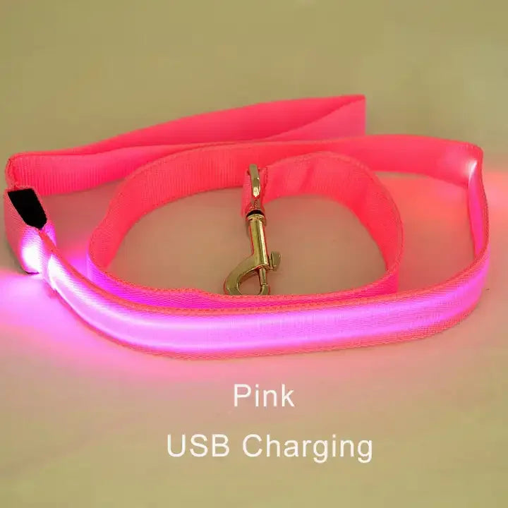 LED Light Up Dog Leash and Collar