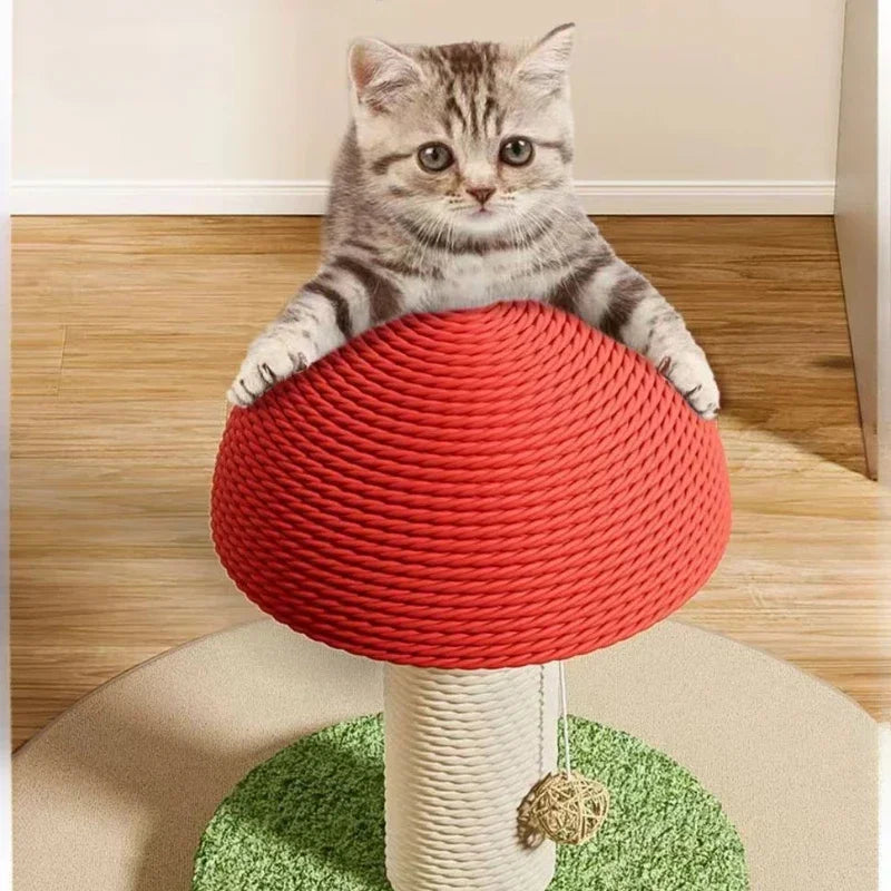 Cat Scratch/ Climbing Mushroom, Durable, Sisal