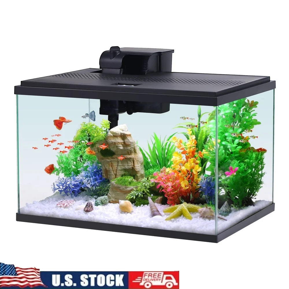 10 Gallon Glass Aquarium Starter Kit