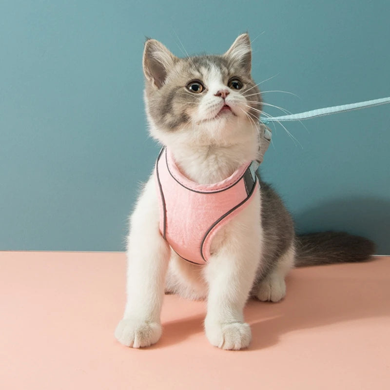 Cat Harness Leash Set With Reflective Strip
