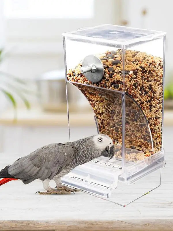 Acrylic Bird Feeders Anti Spill Automatic Parrot Feeder Drinker TransparentParakeet Feeders For Bird Cage Cage Accessories