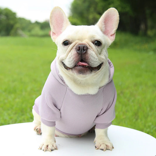 Dog Clothing, Two-Feet Hooded Sweater