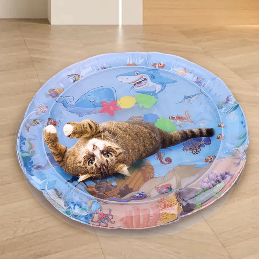 Extra Thick Aqua Interactive Cat Play Mat