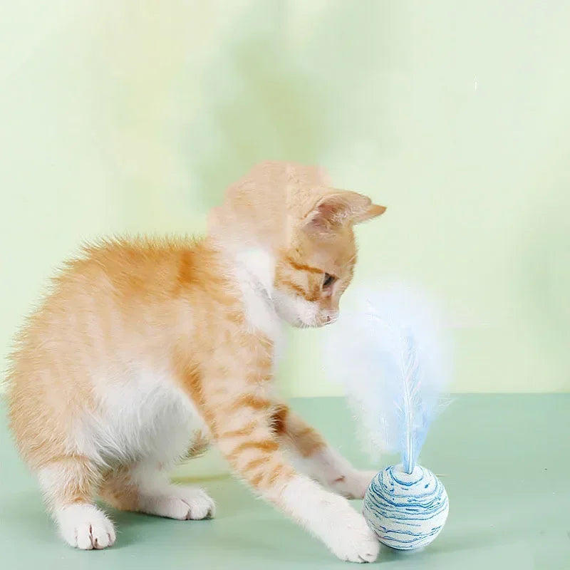 Funny Feather Ball Cat Toy