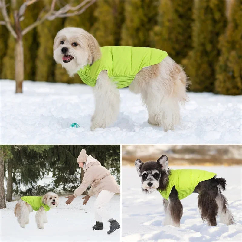 Small Dog Warm Windproof Coat