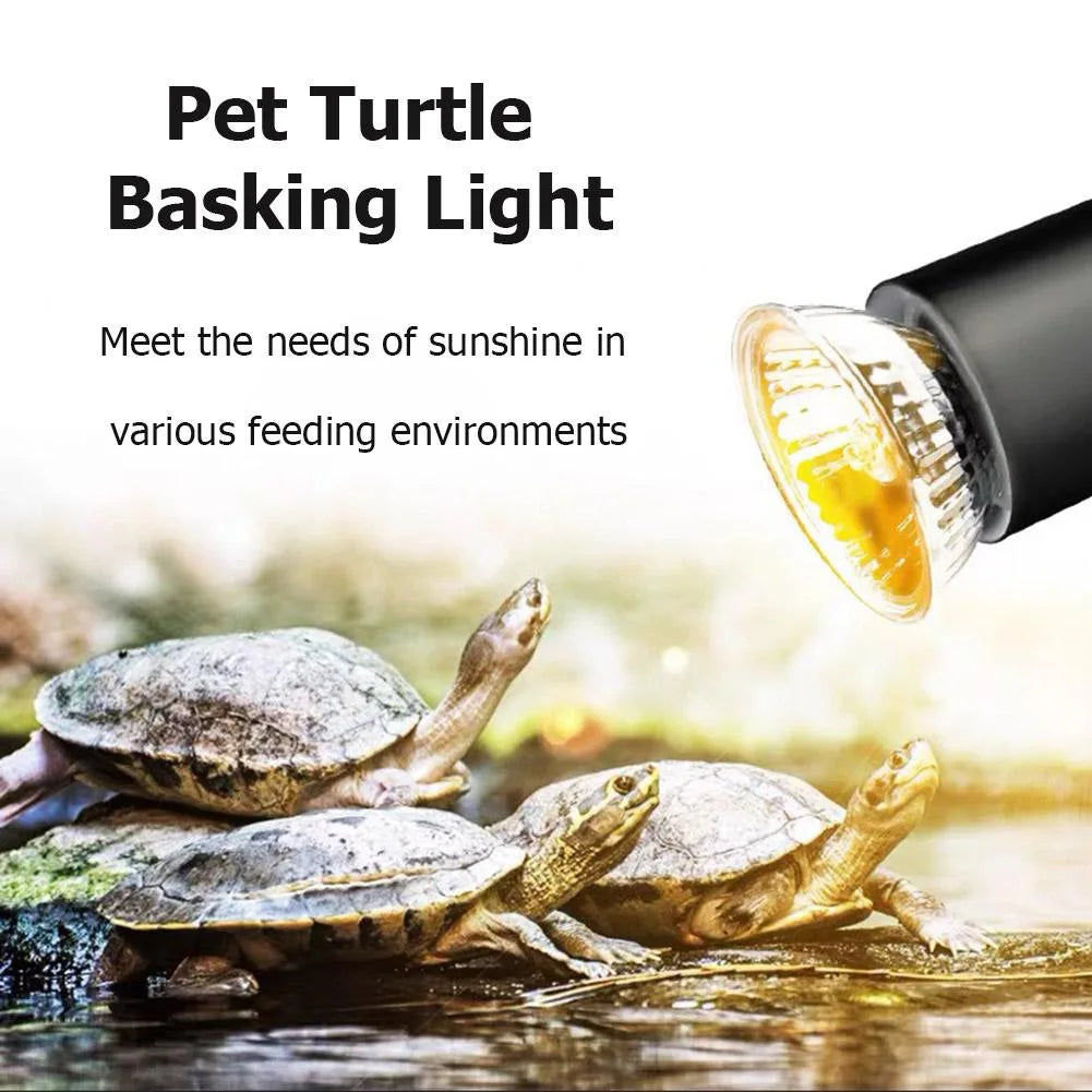 Reptile /Amphibian Heating Lamp