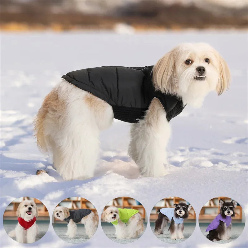 Small Dog Warm Windproof Coat
