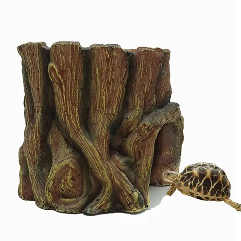 Reptile Cave, Feeding Habitat, Shelter