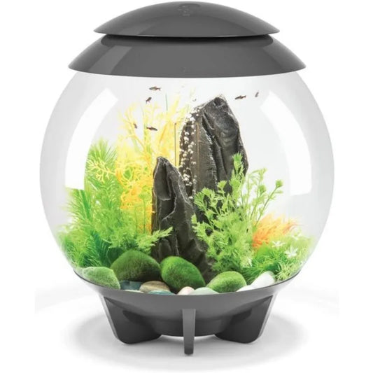 Acrylic 4-Gallon Aquarium with Multi-Color Remote-Controlled LED Lights, Gray