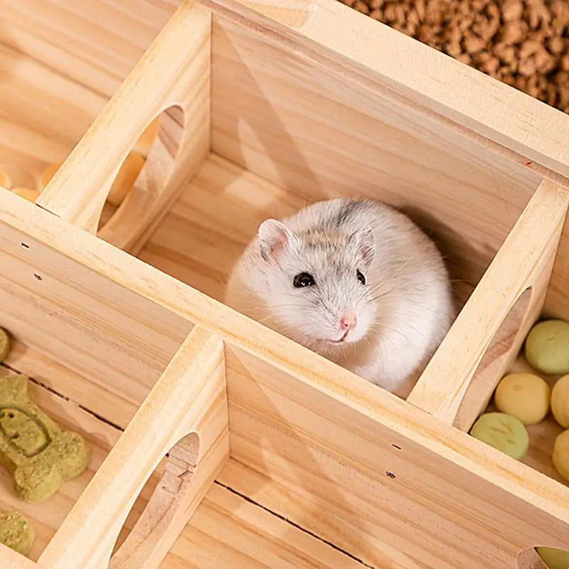 Wooden Gerbil Maze Toy
