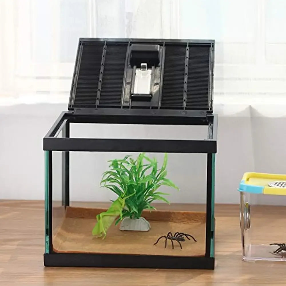 Reptile Glass Terrarium Enclosure