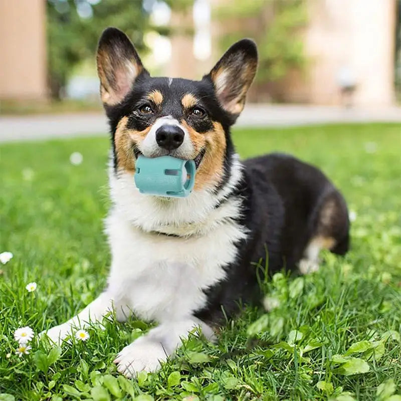 Interactive Puppy Teething Chew Ball
