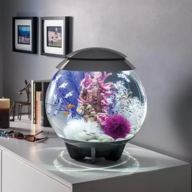 Acrylic 4-Gallon Aquarium with Multi-Color Remote-Controlled LED Lights, Gray