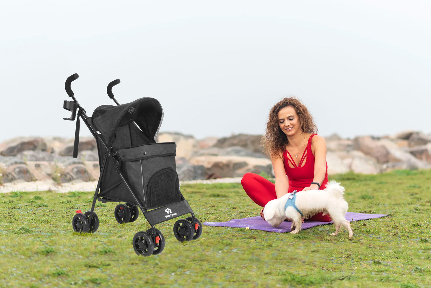 Pet Stroller with Brakes