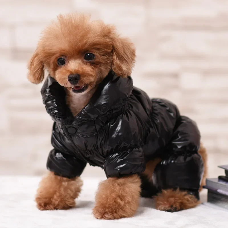 Dog Cat Faux Leather Waterproof Jacket Thicken