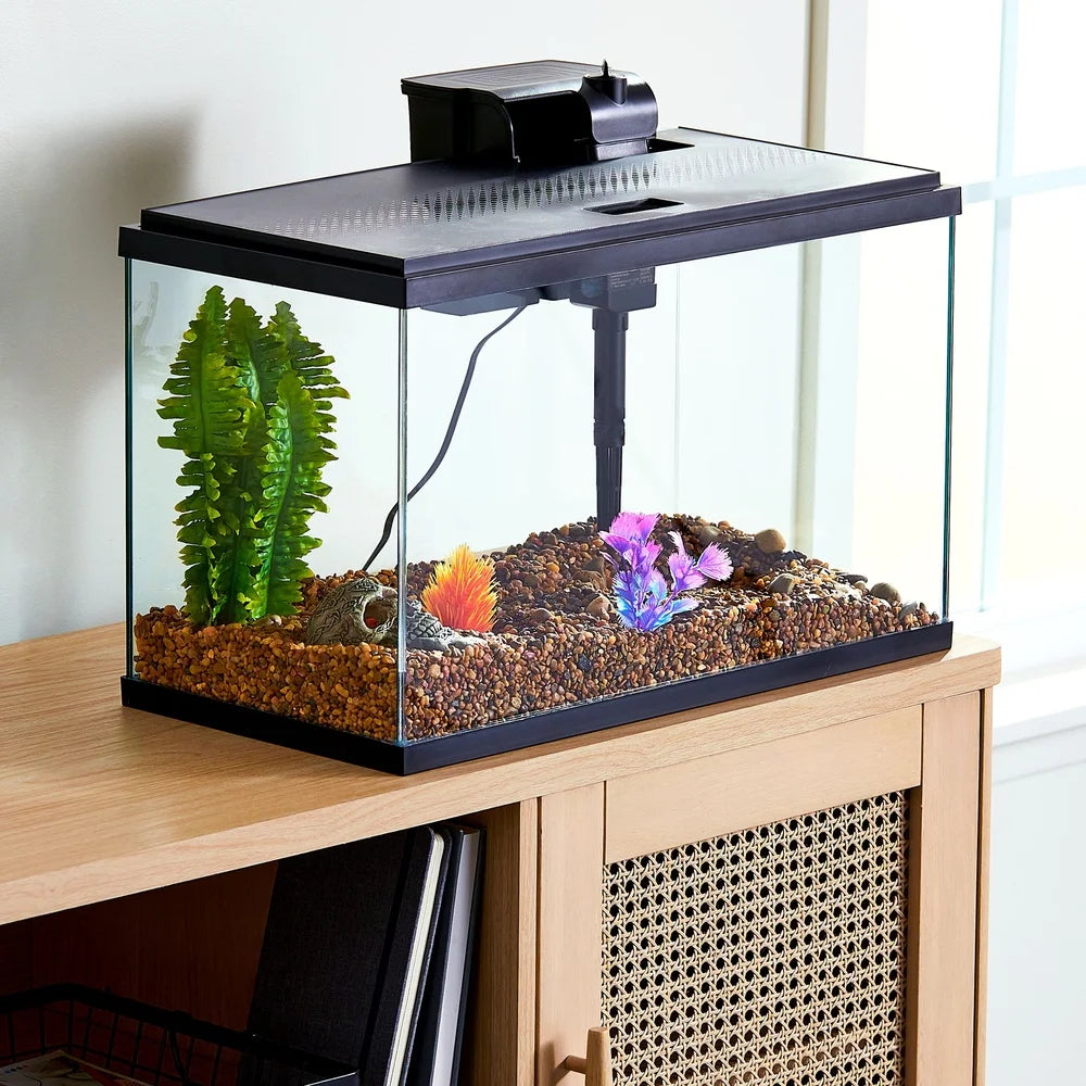 10 Gallon Glass Aquarium Starter Kit