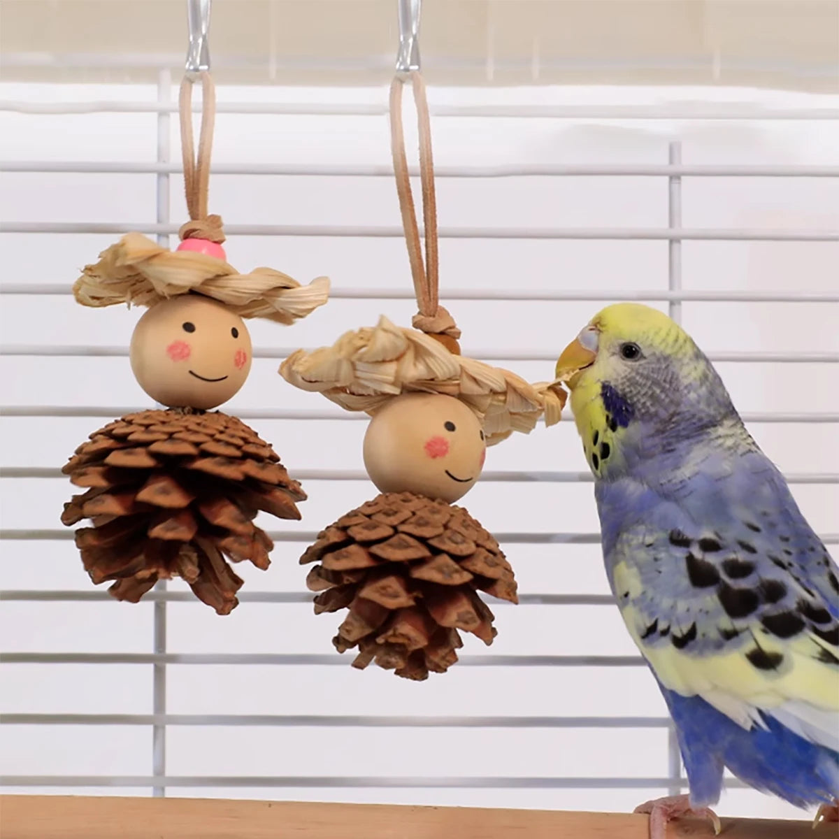 ‌Natural Pine Cone Bird Chewing Toy