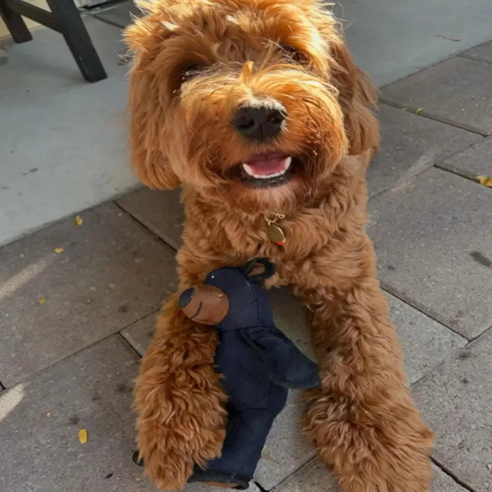 Indestructible Bear Chewable Dog Toy