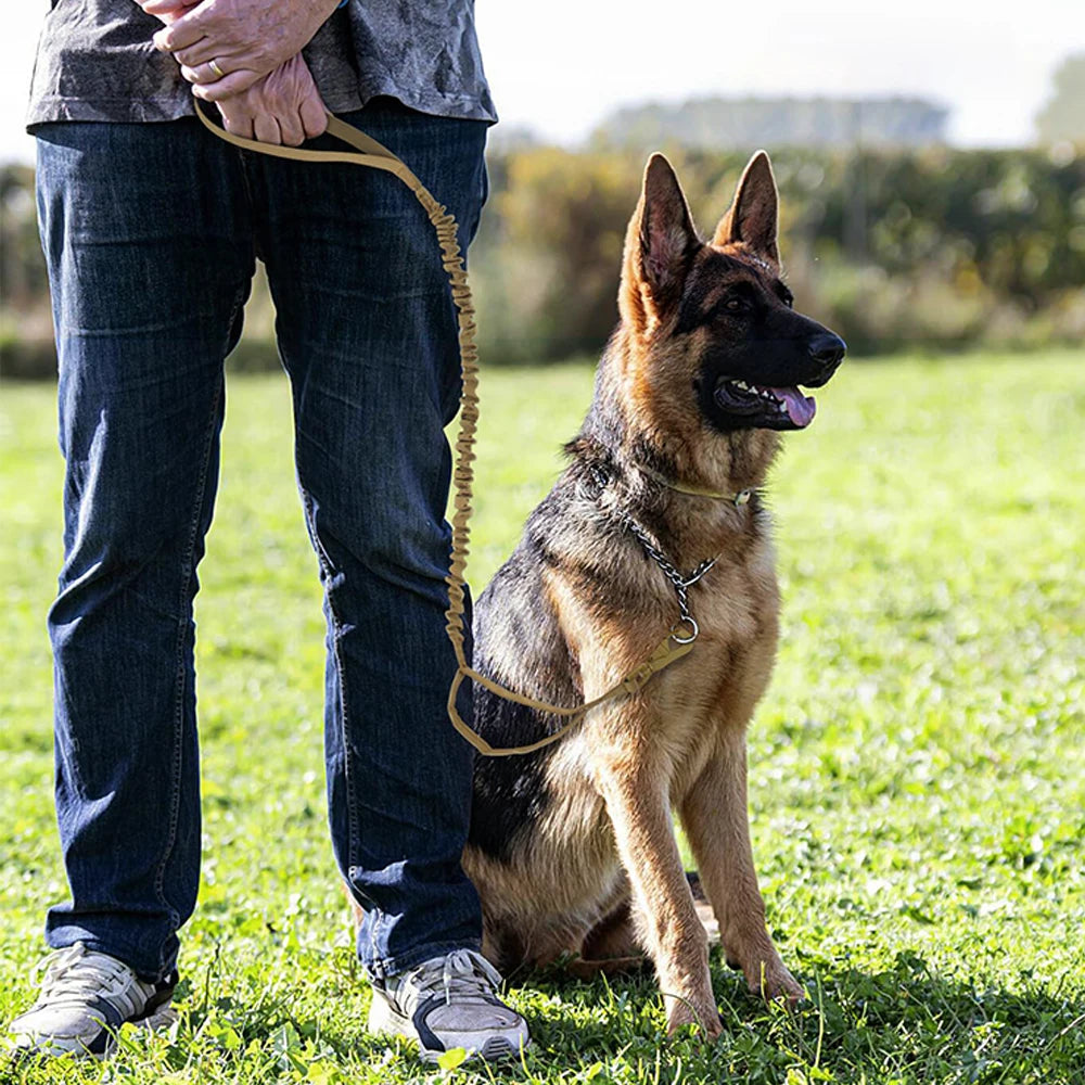 Adjustable Leash, Quick Release With 2 Handles