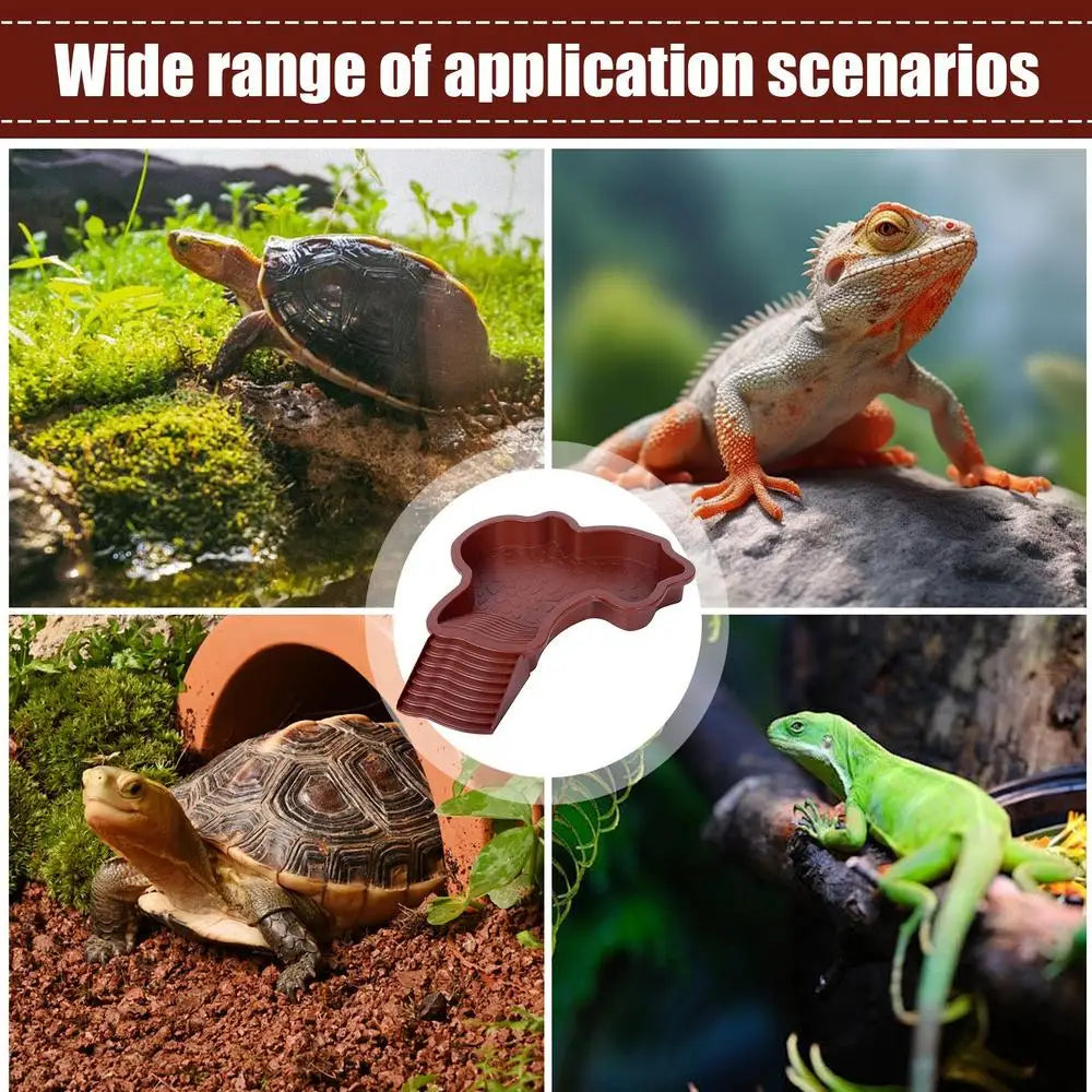 Reptile Bathing Pool