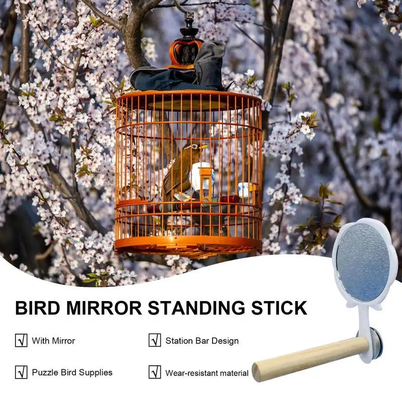 Bird Cage Mirror With Standing Stick