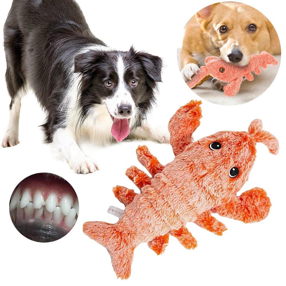 Floppy Lobster Interactive Dog/Cat Toy