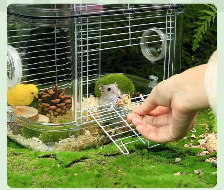 Mice/ Hamster Home Habitat