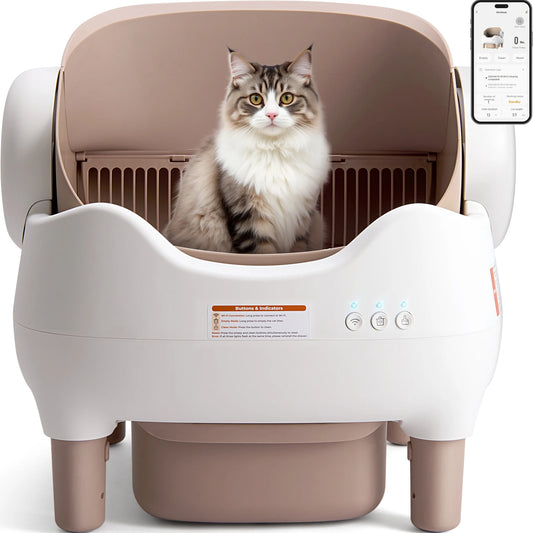 Automatic Self Cleaning Litter Box