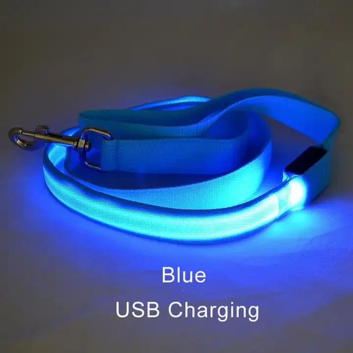 LED Light Up Dog Leash and Collar